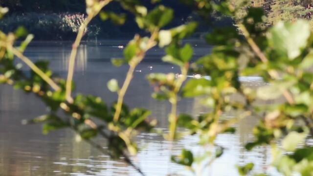 IVAN IVANOV - MAHNI SE SATANO