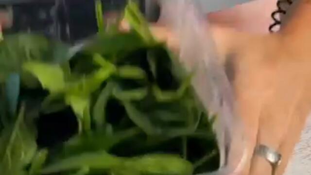 Как вам такой пирог?😍 Рецепт уже в ТГ канале annslim_cakes_recipe❤️ #еда #рецепт #жиза #рецепты