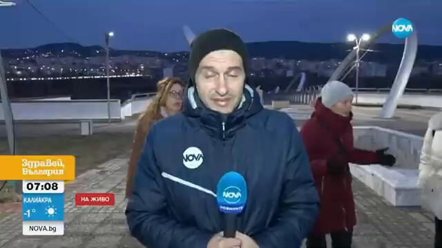 Жена беше нападната и нахапана от глутница бездомни кучета в Кърджали - Здравей, България