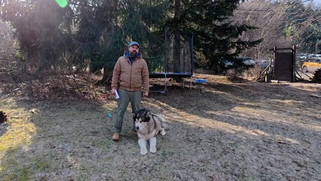 Русия: без чужди миротворци в Украйна! Кремъл ще признае само Сини каски от ООН – 10.02.2025 г._HD