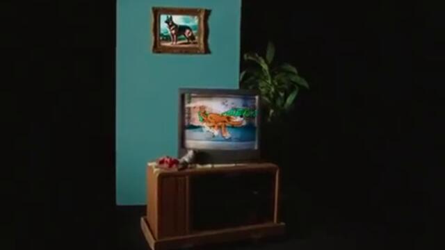 PUP - Hallways (Official Video)