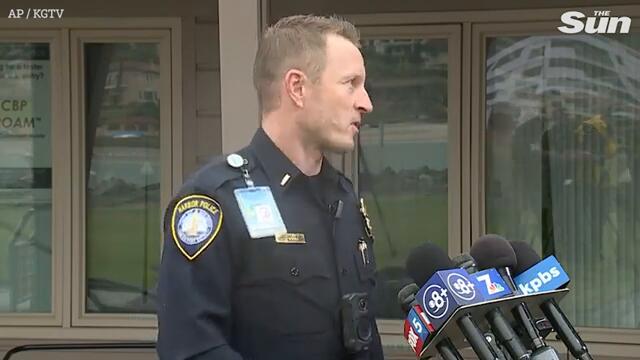 Horror as US Navy ‘Growler’ fighter jet crashes into San Diego Bay