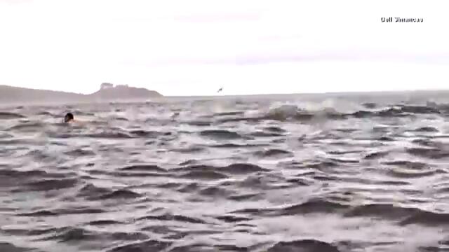 Humpback Whale Eats Kayaker Before Spitting Him Out
