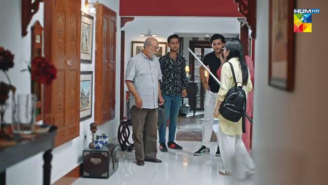 Judwaa - Episode 07 - 12th Feb 2025 [ Aina Asif & Adnan Raza Mir ] - HUM TV