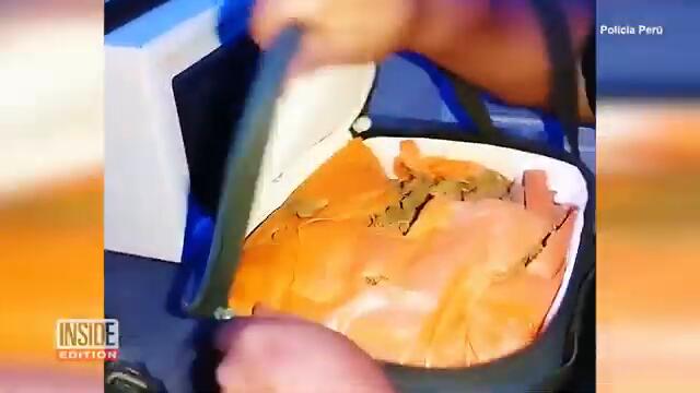 Drug Suspects Fooled by Police Officer in Capybara Costume