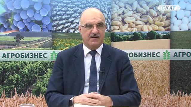 НЕ МОЖЕ ДА Е ВЯРНО! БЪЛГАРИЯ ДА Е ПО-БОГАТА ОТ ГЪРЦИЯ?