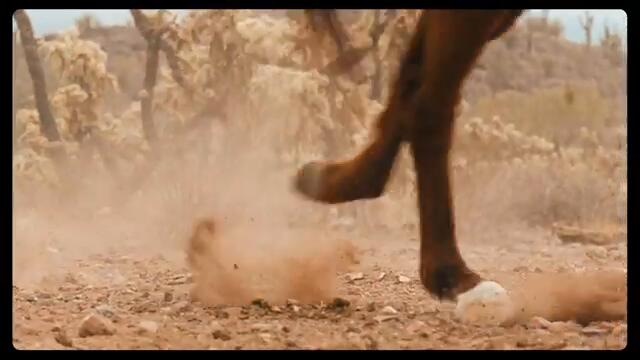 Miranda Lambert - Run (Official Video)