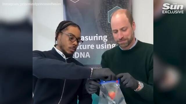 Markle and Princess Kate’s MASSIVE rivalry laid bare