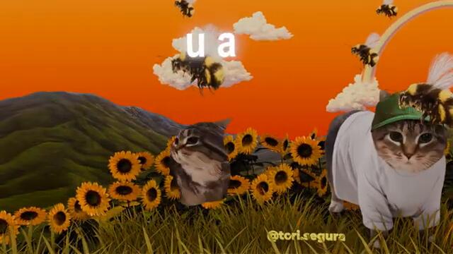 OIIA Cat x See You Again (Tyler, the Creator Remix)