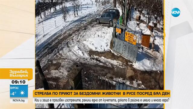 Стрелба по приют за бездомни животни в Русе, има ранено куче - Здравей, България (24.02.2025)