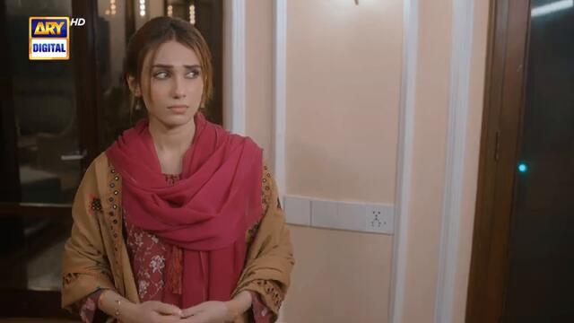 Naqaab Episode 4 | Ali Ansari | Hina Tariq | Humayoun Ashraf | Ghana Ali | 26 Feb 2025 | ARY Digital