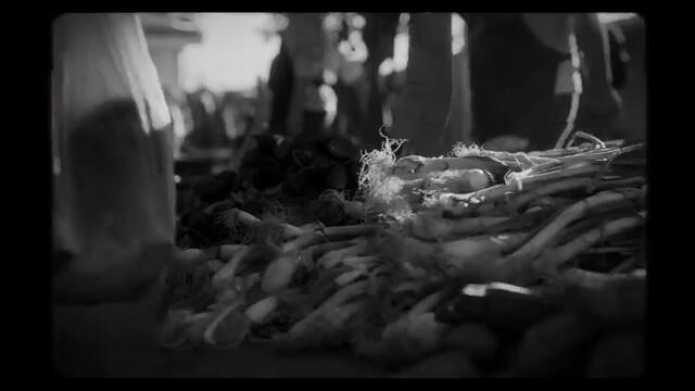 Alfredo Olivas - "Vivo"