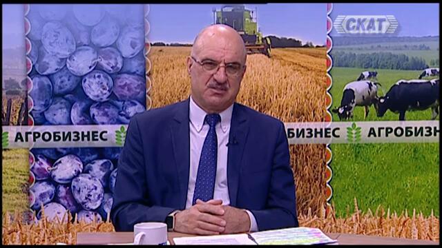 В КИТАЙ ОТГЛЕЖДАТ ЗА ХРАНА ОГРОМНИ САЛАМНДРИ!