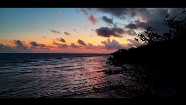 Groundation - Energy [Official Video]