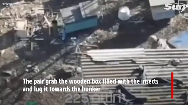 Ukrainians dump BEEHIVE into bunker to flush out Putin’s soldiers