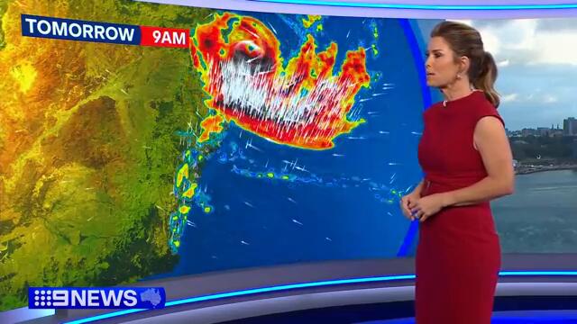 Australia Weather Update: Tropical Cyclone Alfred to bring heavy rain | 9 News Australia