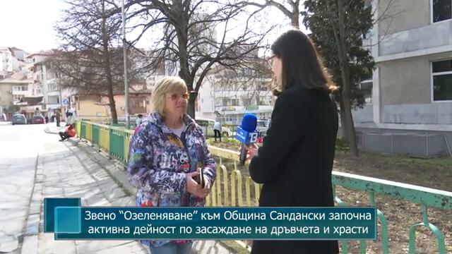 Звено “Озеленяване” към Община Сандански започна активна дейност по засаждане на дръвчета и храсти