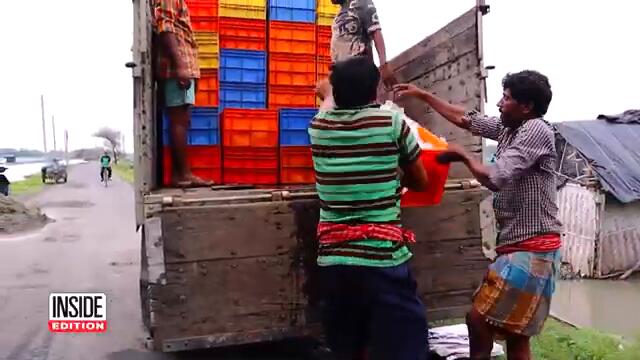 Is Something Fishy Going On With Some Restaurant Shrimp?