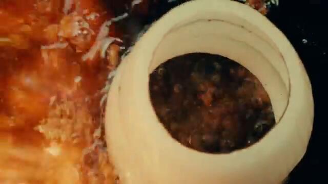 Key Glock - No Sweat (Official Music Video)