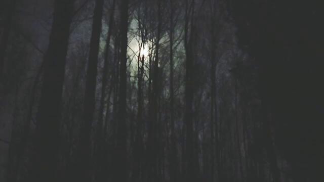 Полнолуние 🌕 14.03.2025. Коридор затмений, ретро Меркурий — психология, астрология, мотивация