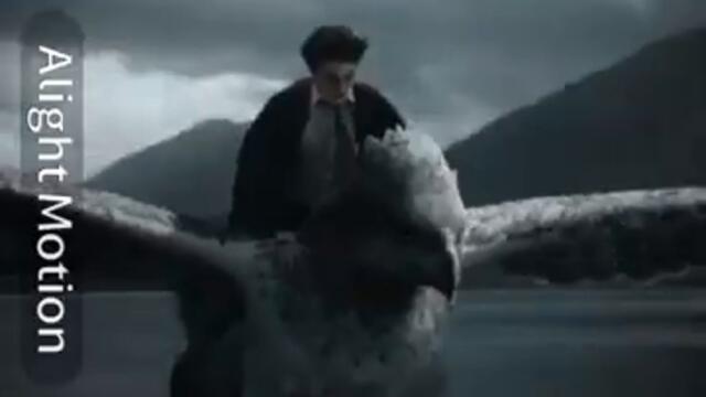 I need to rewatch the series 😭😭 #edit #harrypotter #sub #movie #foryou #like #short #viral #follow