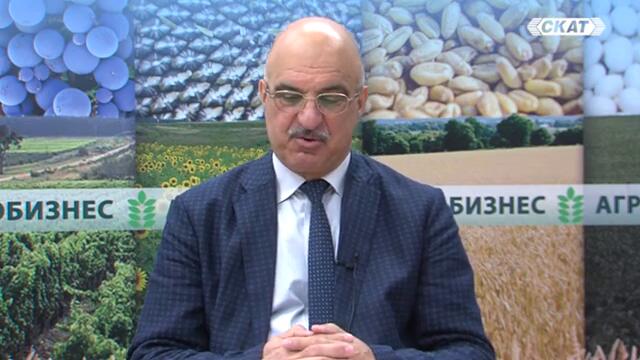 ИМА БИКОВИ АКУЛИ, ИМА И БИКОВИ ЖАБИ!