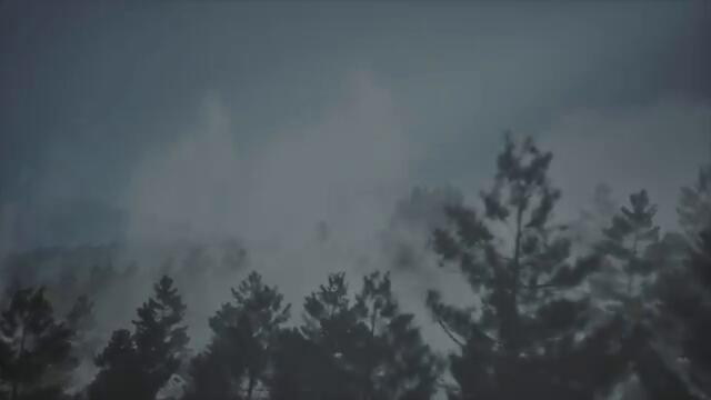 Noah Cyrus, Fleet Foxes - Don't Put It All On Me (Official Video)