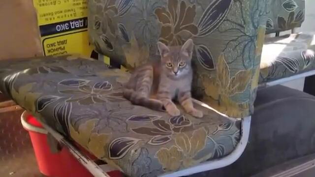 Фото от подписчиков 26 часть