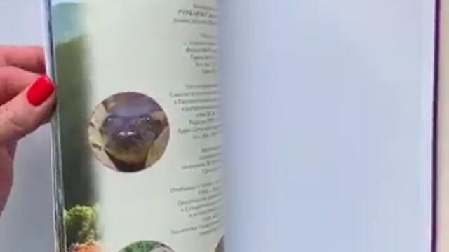 videoplayback - 2025-04-12T154324.717