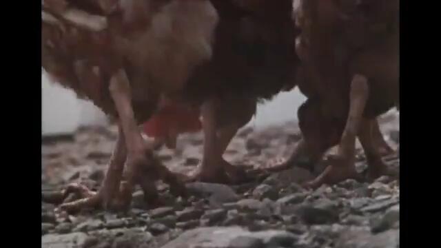 ZATOICHI The Blind Swordsman Season 1 Full Episode 2