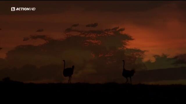 Конго (1995) (бг аудио) (част 1) TV Rip bTV Action 29.04.2025