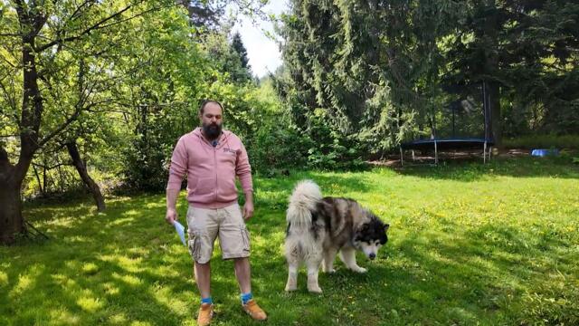 Тръмп и Путин се изказаха за бъдещето на Украйна и своите приемници – 05.05._HD