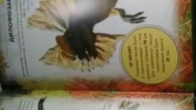 videoplayback - 2025-05-07T160418.272