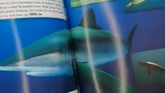 videoplayback - 2025-05-07T160138.077