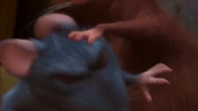 y2mate.com - Mufasa The Lion King  In Theaters Now_v720P