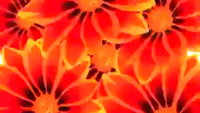 videoplayback 90