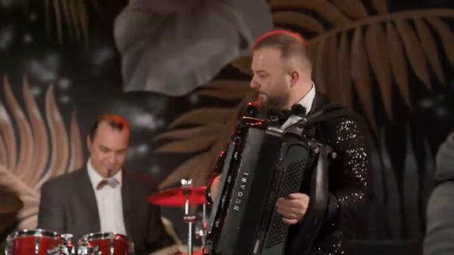 DENIS PAPUN  I TIGROVI - Lima Vimra(Mali mravi live) (OFFICIAL VIDEO 2025)