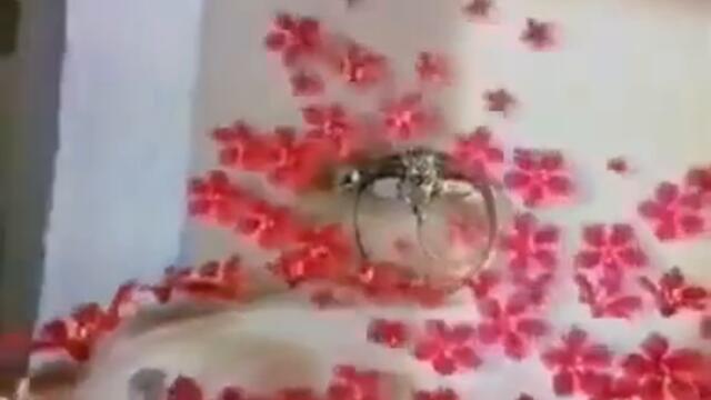 videoplayback 61