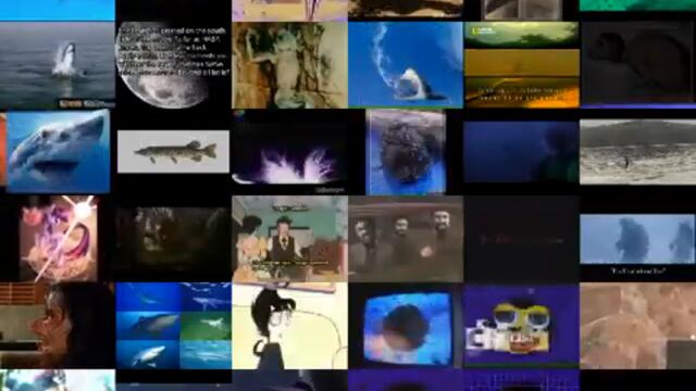 (REMAKE) Annoying Goose Nineparison Quadparison 7