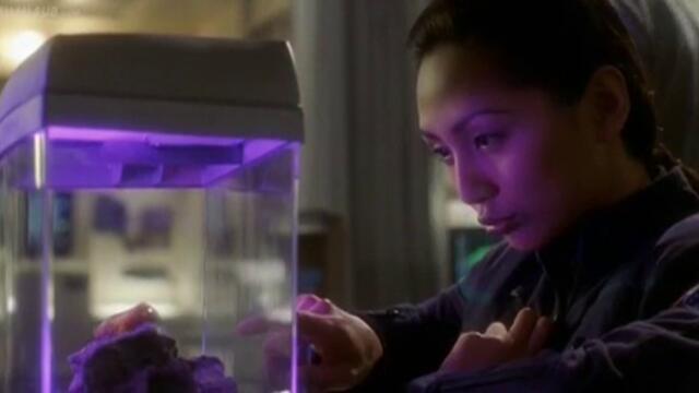 Enterprise.s01e03.fight.or.flight.mp4