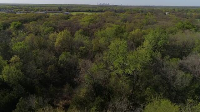 Сърце на шампион  Heart of a Champion  (2023) Бг Аудио Част 1