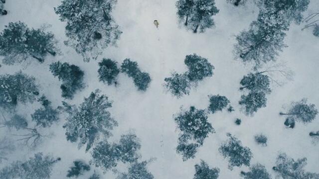 Смъртта може да почака James Bond 007 No Time to Die   (2021) Бг Аудио Част 1