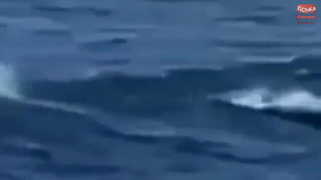 Best_Mermaid_Caught_on_Tape_Sea_Peoples_Creature_are_Real_amp_Sightings_on_cam_yapfiles.ru