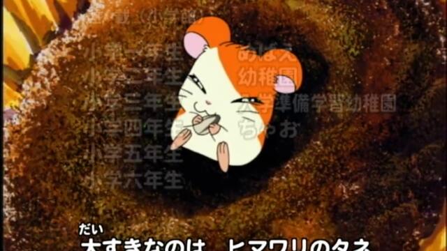 哈姆太郎 S01-E26