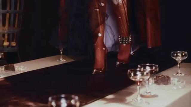 SANJA VUCIC - RAZPADAM SE 2025