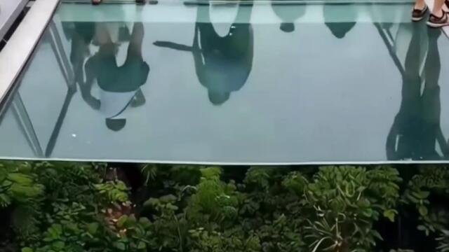 Изкуственият интелект е на ниво 😂