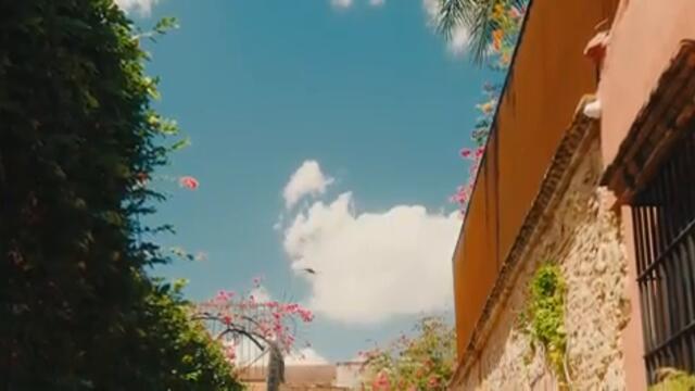 LEON - DARIA