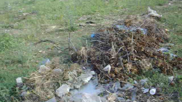 Сметище2025_06_10 011.AVI