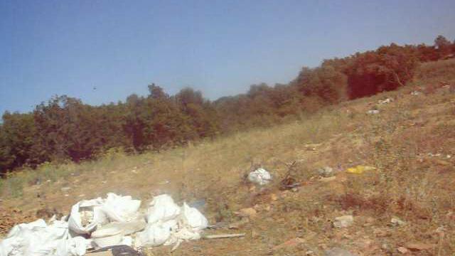 Сметище 2025_06_23 027.AVI