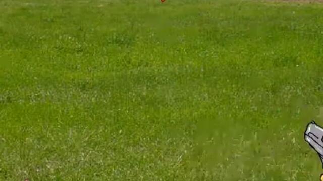 videoplayback 75